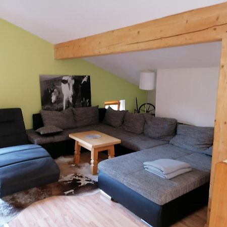Mosenbauer Ferienwohnung Salzburg Миттерзилль Экстерьер фото